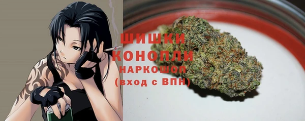 ГАЛЛЮЦИНОГЕННЫЕ ГРИБЫ Касимов