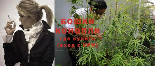 ГАЛЛЮЦИНОГЕННЫЕ ГРИБЫ Касимов