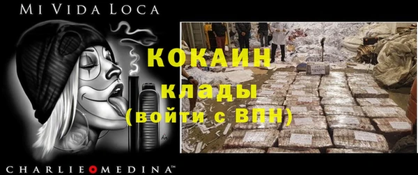 ГАЛЛЮЦИНОГЕННЫЕ ГРИБЫ Касимов