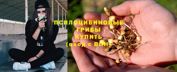 ГАЛЛЮЦИНОГЕННЫЕ ГРИБЫ Касимов