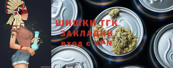 ГАЛЛЮЦИНОГЕННЫЕ ГРИБЫ Касимов