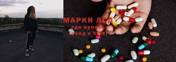 ГАЛЛЮЦИНОГЕННЫЕ ГРИБЫ Касимов
